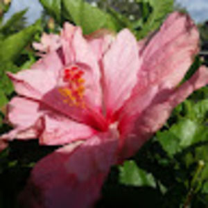 Meet your Posher, Bev